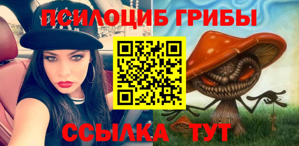 Галлюциногенные грибы мухоморы  Галлюциногенные грибы Psilocybe  Вход с VPN  Салехард 