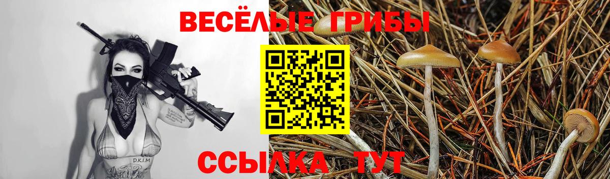 Псилоцибиновые грибы мицелий Салехард