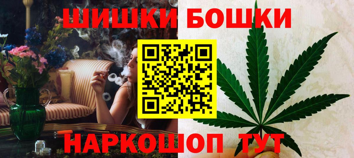 Бошки Шишки план Салехард